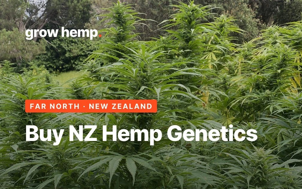 Grow Hemp